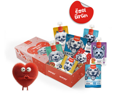  - Wanpy Kalp Temalı Kutu Seti Köpek_6'lı Koli