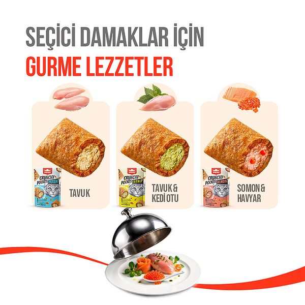 Wanpy Kedi Crunch Ödül Catnipli & Tavuklu 60g – 10'lu