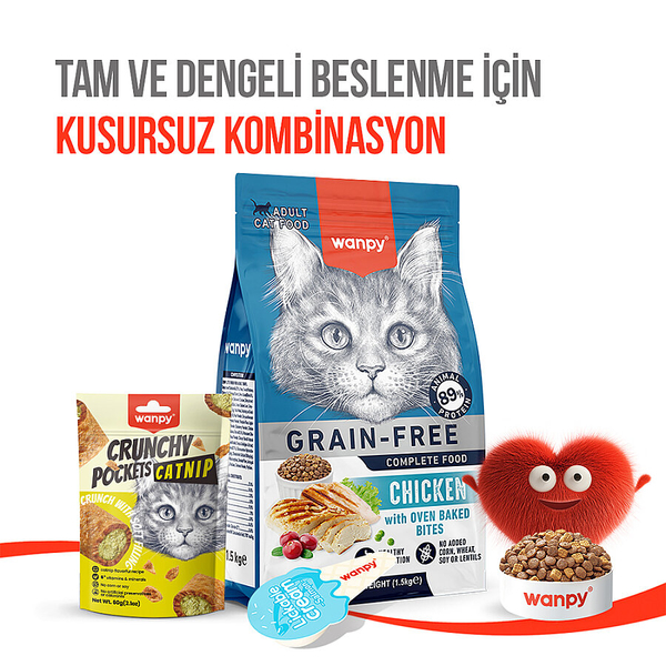 Wanpy Kedi Crunch Ödül Catnipli & Tavuklu 60g – 10'lu
