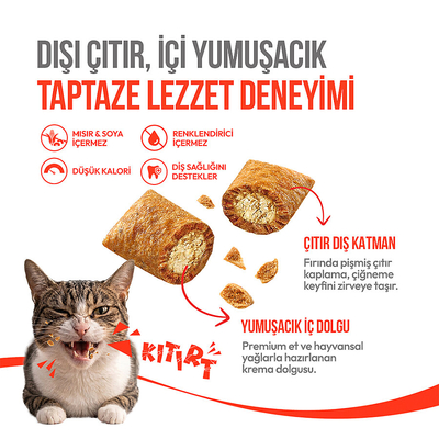 Wanpy Kedi Crunch Ödül Tavuk 60g - 10'lu - Thumbnail