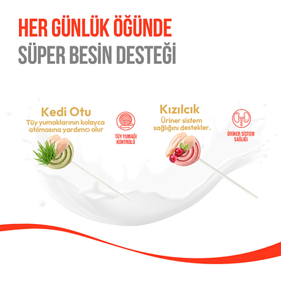 Wanpy Kediler İçin Dondurularak Kurutulmuş Swirlpop – Kedi Otu - 1.4 g*10'lu - Thumbnail