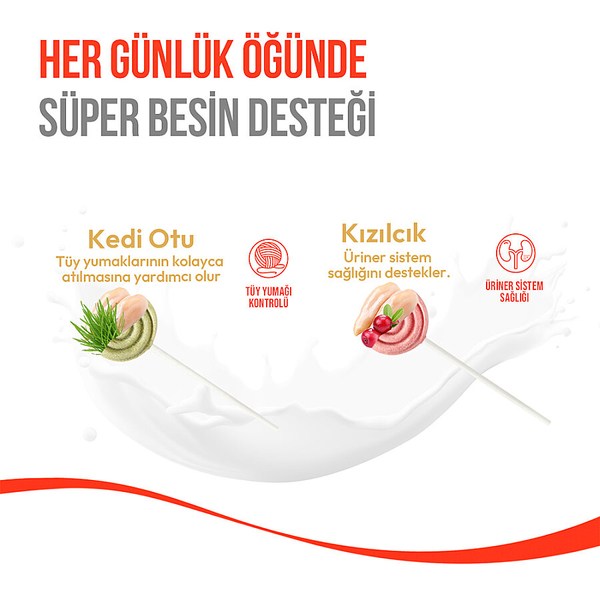 Wanpy Kediler İçin Dondurularak Kurutulmuş Swirlpop – Kedi Otu - 1.4 g*10'lu