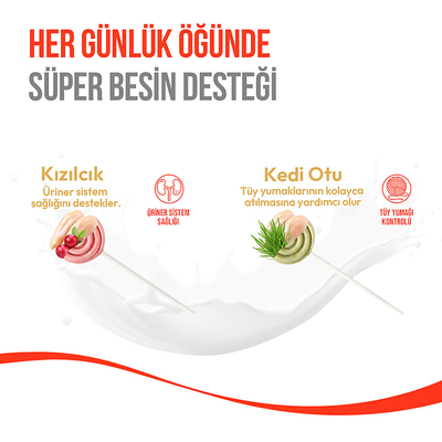 Wanpy Kediler İçin Dondurularak Kurutulmuş Swirlpop – Kızılcık - 1.4 g*10'lu - Thumbnail