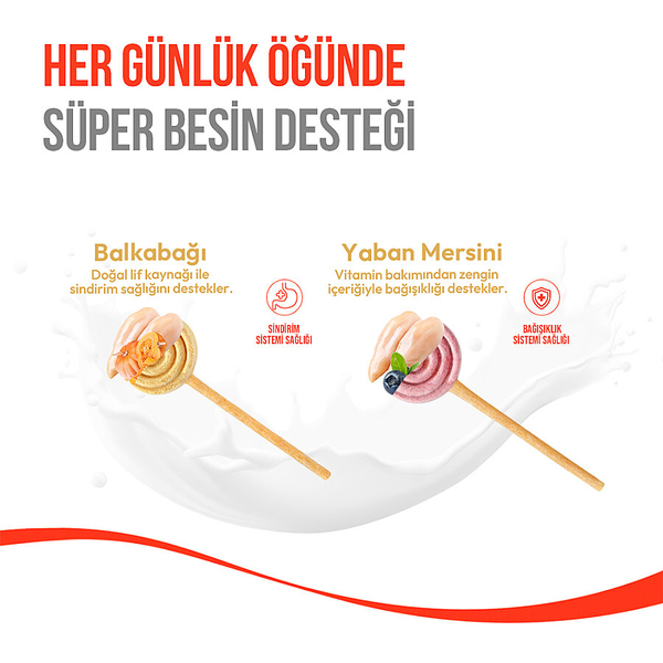 Wanpy Köpekler İçin Dondurularak Kurutulmuş Swirlpop – Balkabaklı - 6 g*10'lu