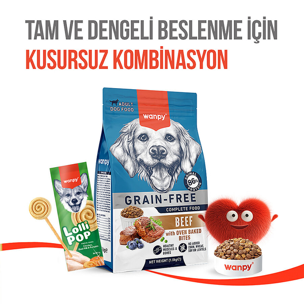 Wanpy Köpekler İçin Dondurularak Kurutulmuş Swirlpop – Balkabaklı - 6 g*10'lu