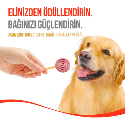 Wanpy Köpekler İçin Dondurularak Kurutulmuş Swirlpop – Yaban Mersinli - 6 g*10'lu - Thumbnail
