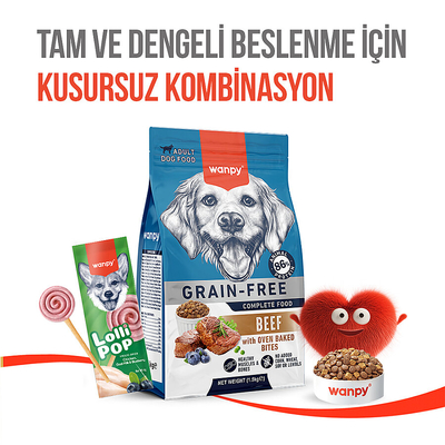 Wanpy Köpekler İçin Dondurularak Kurutulmuş Swirlpop – Yaban Mersinli - 6 g*10'lu - Thumbnail