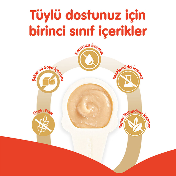 Wanpy Somonlu 10*16 gr Kaşıklı Kedi Ödül Kreması