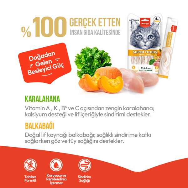 Wanpy Superfood Balkabağı & Kara Lahanalı 12’li – Krema Kedi Ödülü 5×14 g