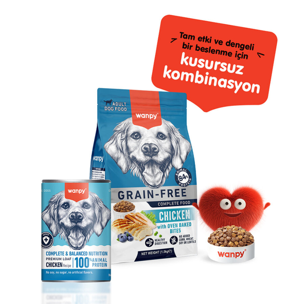 Wanpy Tahılsız Köpek %100 Gerçek Et 375 gr Tavuklu Konserve 12 Adet