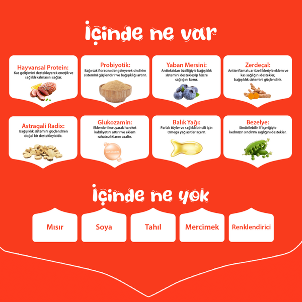 Wanpy Tahılsız Ördekli Yetişkin Köpek Maması 12 kg