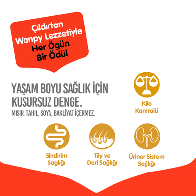 Wanpy Tahılsız Somonlu Yetişkin Kedi Maması 8 kg - Thumbnail