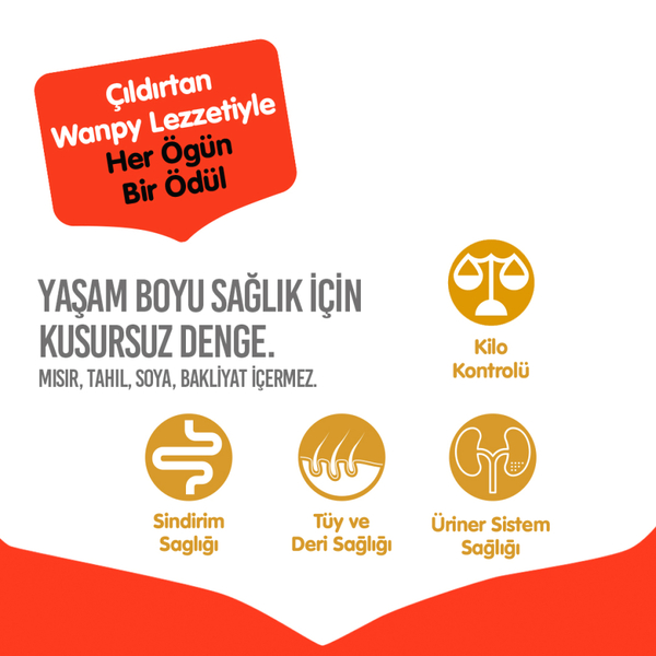 Wanpy Tahılsız Somonlu Yetişkin Kedi Maması 8 kg