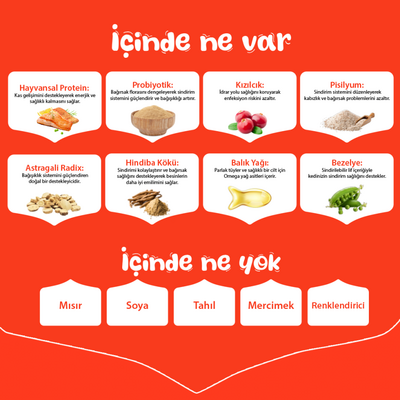 Wanpy Tahılsız Somonlu Yetişkin Kedi Maması 8 kg - Thumbnail