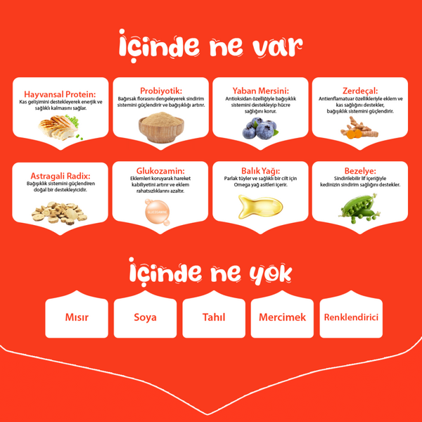 Wanpy Tahılsız Tavuklu Yetişkin Köpek Maması 12 kg