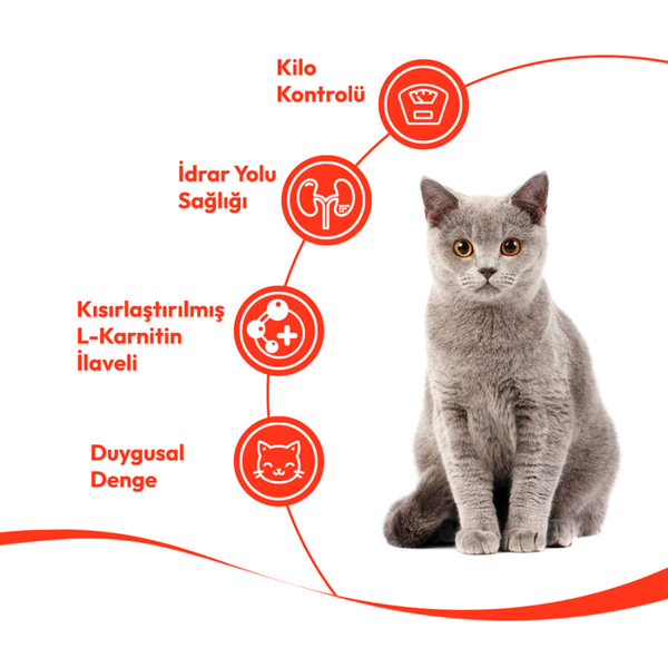 Wanpy Ton Balıklı & Kızılcıklı 12’li – Kısırlaştırılmış Kedi Krema Ödülü 5×14 g