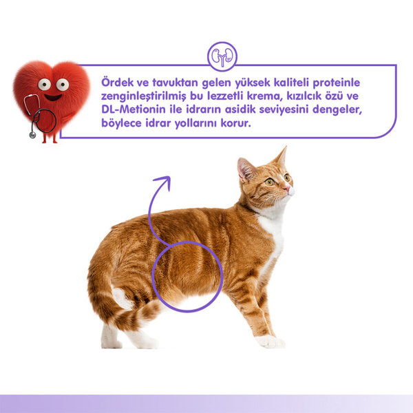 Wanpy Urinary Care Ördek&Tavuk 12'li-F.Krema Ödül 5x14gr