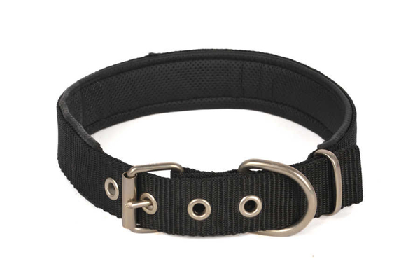 Yumuşak Doku Boyun 2,5*55 cm