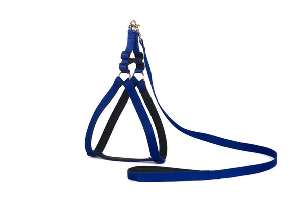 Yumuşak Doku Göğüs Tkm No:1