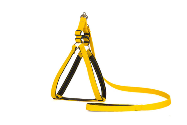 Yumuşak Doku Göğüs Tkm No:1