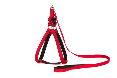 Pet Preety - Yumuşak Doku Göğüs Tkm No:2